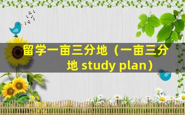 留学一亩三分地（一亩三分地 study plan）